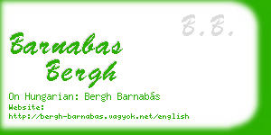 barnabas bergh business card