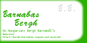 barnabas bergh business card